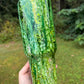40oz Green Emerald Rain
