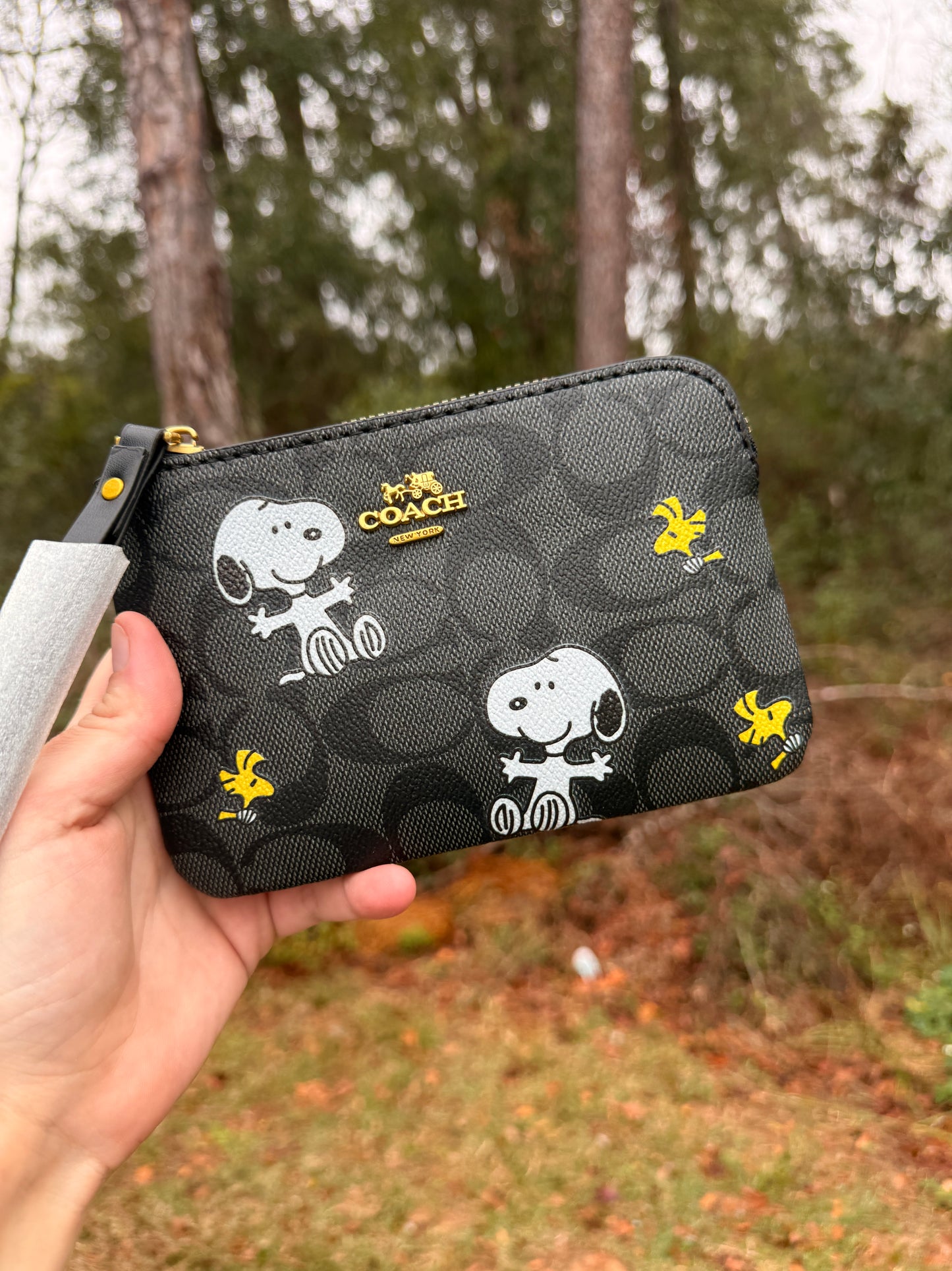 Wristlet Wallets