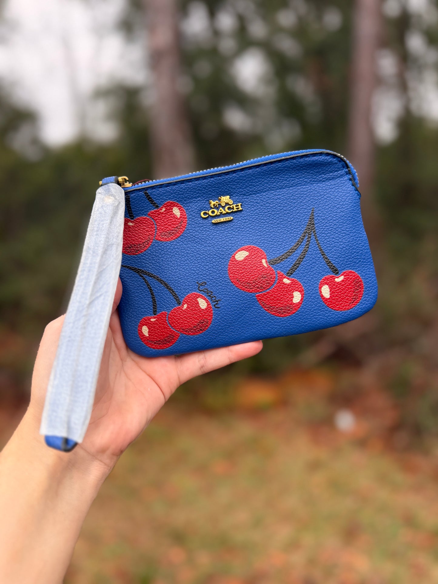 Wristlet Wallets