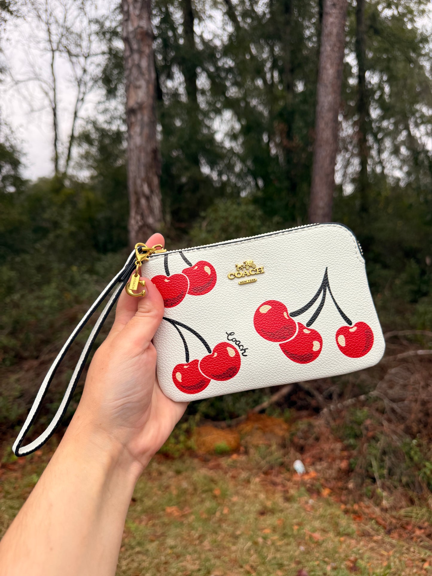 Wristlet Wallets