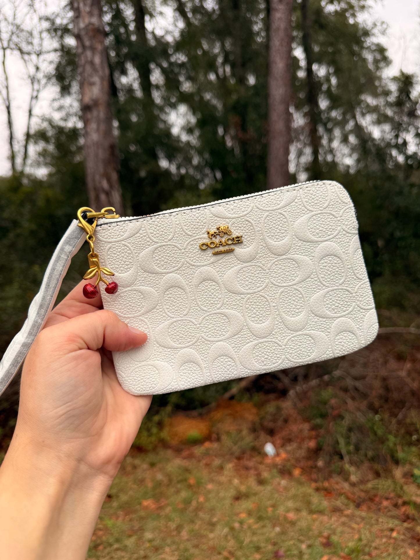 Wristlet Wallets
