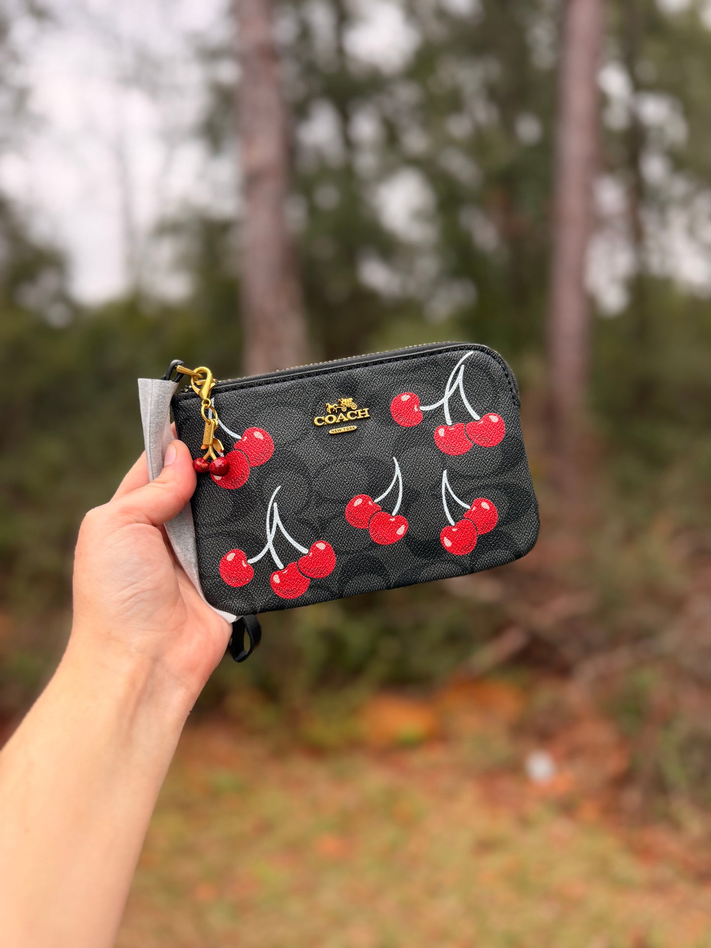 Wristlet Wallets